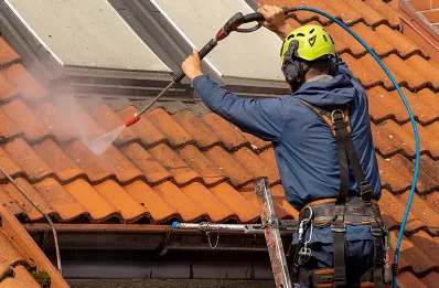 Démoussage et hydrofuge de toiture à Cessieu